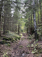 ØyvindBergkvam_20241119_673c66a19c6a7.jpg