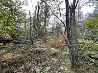 ØyvindBergkvam_20241119_673c66a7e41ea.jpg