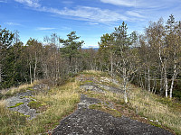 ØyvindBergkvam_20241119_673c66ae27809.jpg