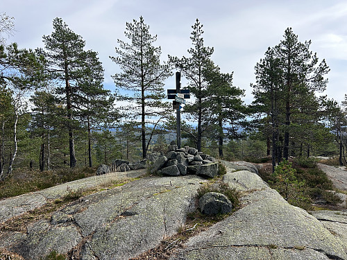 Knappen i Larvik