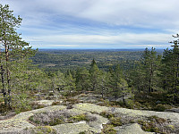 ØyvindBergkvam_20241119_673c66b929b4d.jpg