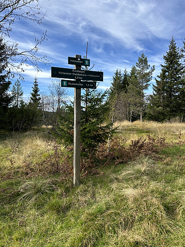 Turen opp til Stubbekollen er godt skiltet og merket