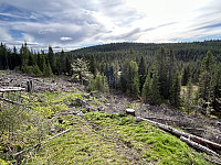 ØyvindBergkvam_20241119_673c6dfd1cf0d.jpg