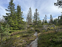 ØyvindBergkvam_20241119_673c6e030ea1e.jpg