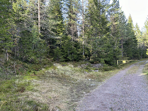Ved bommen retning Misuringsvann tok jeg til venstre inn på god sti frem til myra sør for Langvannsåsen