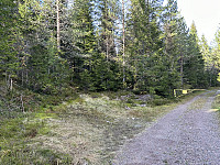 ØyvindBergkvam_20241119_673c73615bb3c.jpg