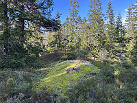 ØyvindBergkvam_20241119_673c7368cb4ab.jpg