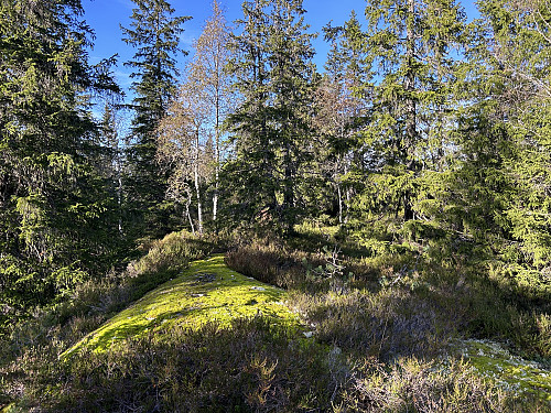 ...eller her omkring?