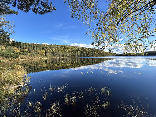Idyllisk ved Breitjennet