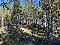 ØyvindBergkvam_20241119_673cb5e30034a.jpg