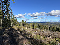 ØyvindBergkvam_20241119_673cb5e8ae0e8.jpg