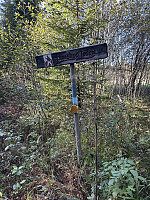 ØyvindBergkvam_20241119_673cb5f5200a5.jpg