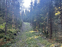 ØyvindBergkvam_20241120_673e32865490c.jpg