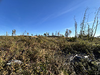 ØyvindBergkvam_20241120_673e328c5dcaf.jpg