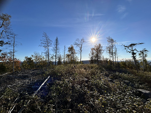 Toppunktet på Bondiseteråsen