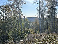 ØyvindBergkvam_20241120_673e3295e1cbb.jpg