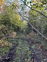 ØyvindBergkvam_20241122_6740b5a5b3590.jpg