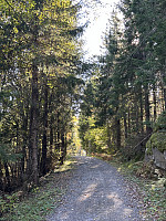 ØyvindBergkvam_20241122_6740b5bf7216e.jpg