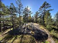 ØyvindBergkvam_20241122_6740b5c50cc3c.jpg