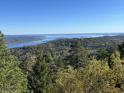Utsikt utover Oslofjorden fra tårnet