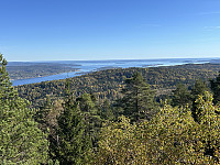 ØyvindBergkvam_20241122_6740b5c944b15.jpg