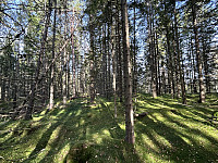 ØyvindBergkvam_20241122_6740ee4013e11.jpg
