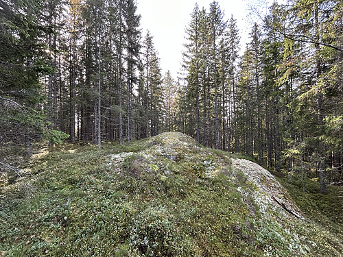 Endtjernslia i Lørenskog