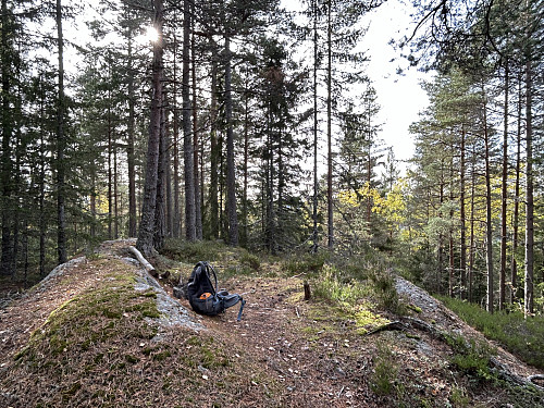 Andersen i Lørenskog