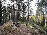 ØyvindBergkvam_20241122_6740ee4df179d.jpg
