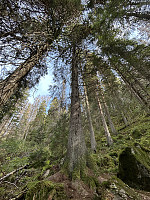 ØyvindBergkvam_20241122_6740ee5554180.jpg
