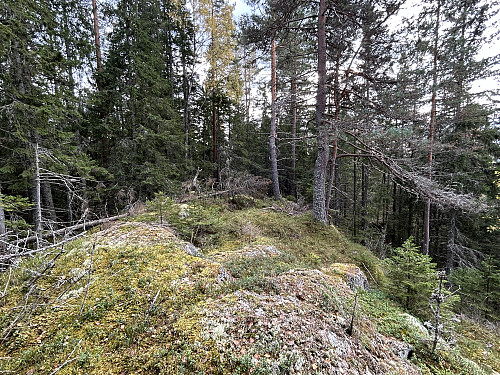 Arnlihøgda i Lørenskog