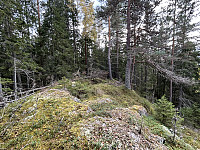 ØyvindBergkvam_20241122_6740ee6444ec0.jpg