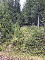 ØyvindBergkvam_20241122_6740f33814806.jpg