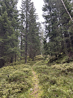 ØyvindBergkvam_20241122_6740f33f6775a.jpg