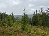 ØyvindBergkvam_20241122_6740f3442ff42.jpg