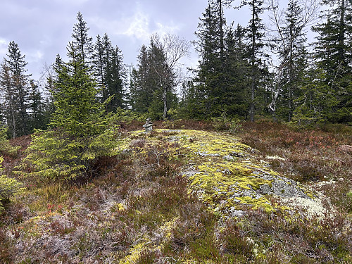 Toppen av Engerfjellet. I bakgrunnen kan vi se vindmølla som mistet den ene vingen tidligere denne sommeren.
