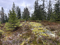 ØyvindBergkvam_20241122_6740f34b25033.jpg