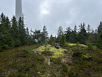 ØyvindBergkvam_20241122_6740f34f42628.jpg