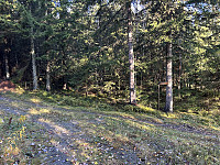 ØyvindBergkvam_20241124_6743037c629bd.jpg