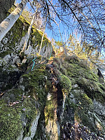 ØyvindBergkvam_20241124_67430385446b8.jpg