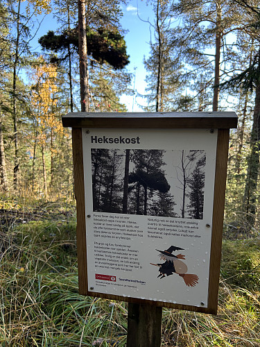 Interessante fakta underveis langs ruta