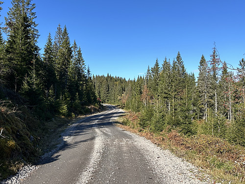 Fin sykkelvei oppover mot Sæterberget