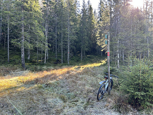 Her går rødmerket løype av sørover retning skogsveien som fører opp til toppen