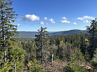 ØyvindBergkvam_20241124_67430e2a14697.jpg