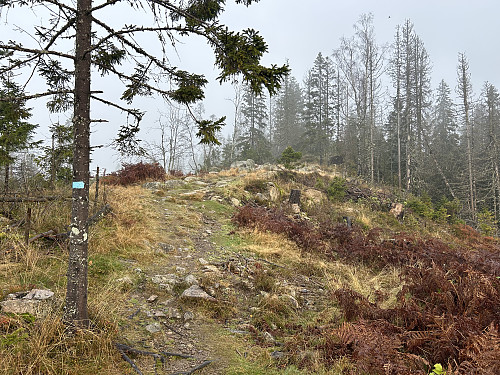 Snart på toppen av Kraftkollen på en litt tåkete dag
