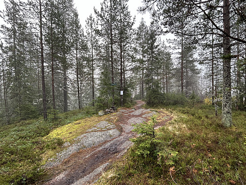 Kraftkollen i Lier