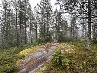 ØyvindBergkvam_20241124_6743114dc43b7.jpg