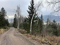 ØyvindBergkvam_20241124_674315d533be8.jpg