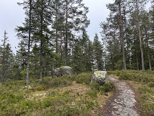 Kirkebyhøgda Sør i Nittedal