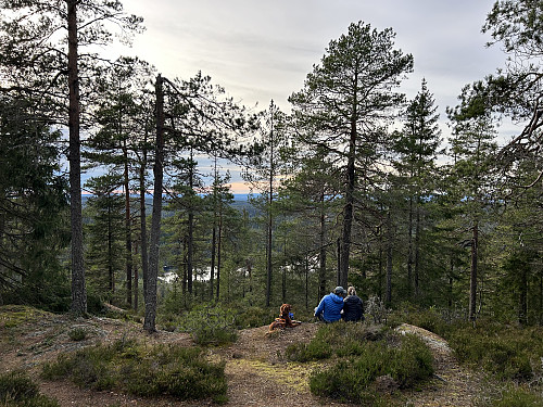Vi så nok rundt 20 andre personer på toppen av Tonekollen denne dagen på den halvtimen vi var der oppe. Dette må være ny rekord for min del på en topp i Østmarka!